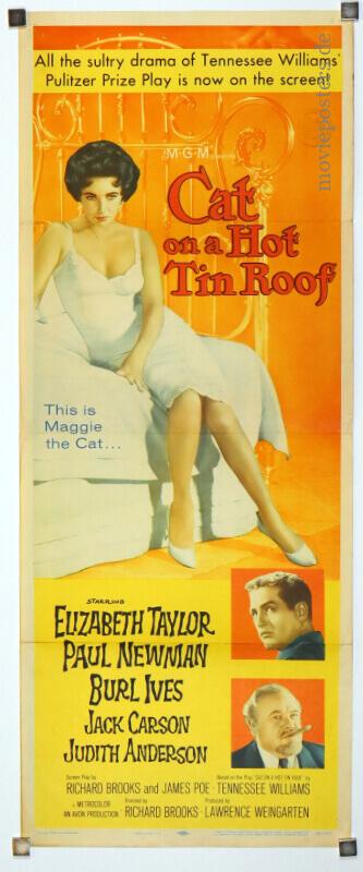 Cat on a Hot Tin Roof - US-Insert poster (14" x 36" - 36 x 91 cm)